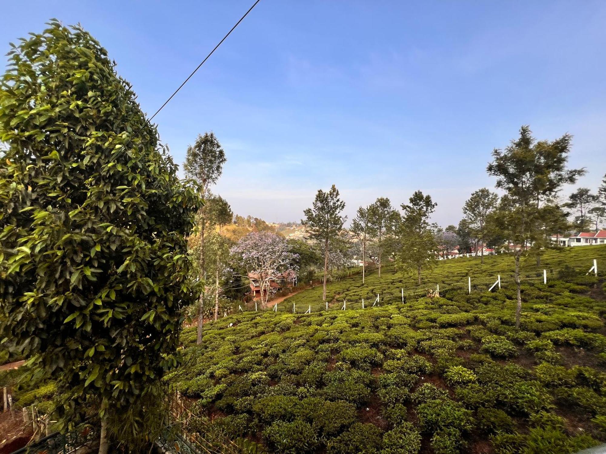 Celestial Villa By Serenest Kotagiri Extérieur photo